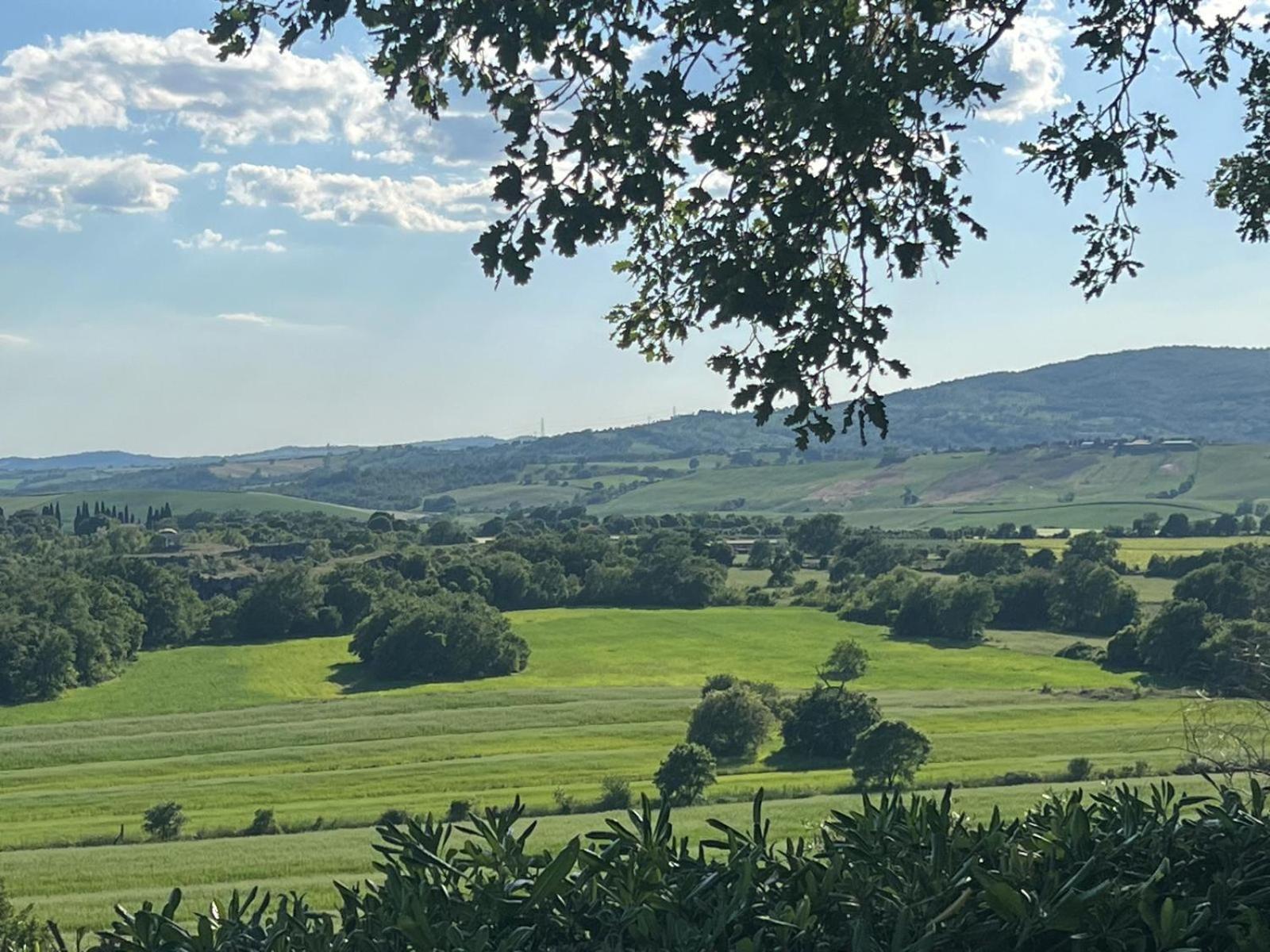 Agriturismo La Castellina ซาตูร์เนีย ภายนอก รูปภาพ