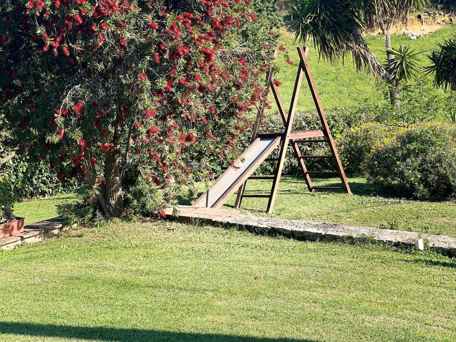 Agriturismo La Castellina ซาตูร์เนีย ภายนอก รูปภาพ