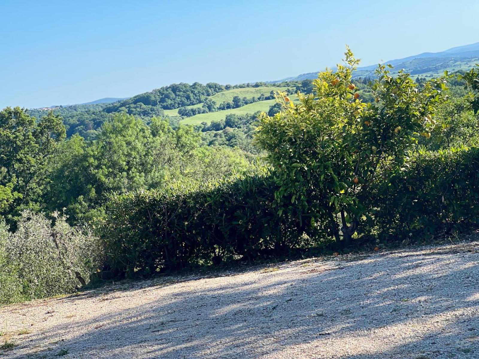 Agriturismo La Castellina ซาตูร์เนีย ภายนอก รูปภาพ